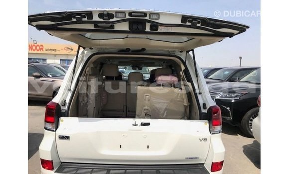Sayi Imported Toyota Land Cruiser White Mota in Import - Dubai a estuary Sayi Imported Toyota Land Cruiser White Mota in Import - Dubai a estuary