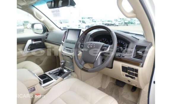 Sayi Imported Toyota Land Cruiser White Mota in Import - Dubai a estuary Sayi Imported Toyota Land Cruiser White Mota in Import - Dubai a estuary