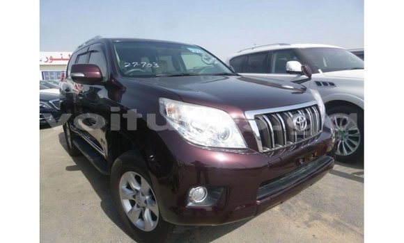 Sayi Imported Toyota Prado Sauran Mota in Import - Dubai a estuary Sayi Imported Toyota Prado Sauran Mota in Import - Dubai a estuary