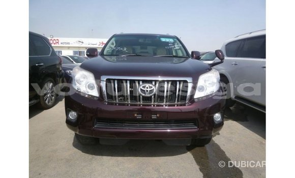 Sayi Imported Toyota Prado Sauran Mota in Import - Dubai a estuary Sayi Imported Toyota Prado Sauran Mota in Import - Dubai a estuary