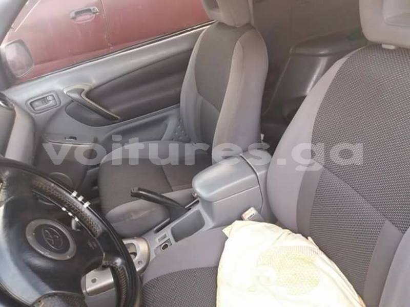 Big with watermark 30629329 194112211393369 244064733525704704 n