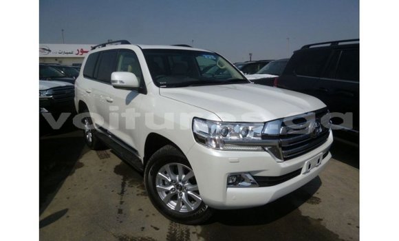 Buy Import Toyota Land Cruiser White Car in Import - Dubai in Estuary Buy Import Toyota Land Cruiser White Car in Import - Dubai in Estuary