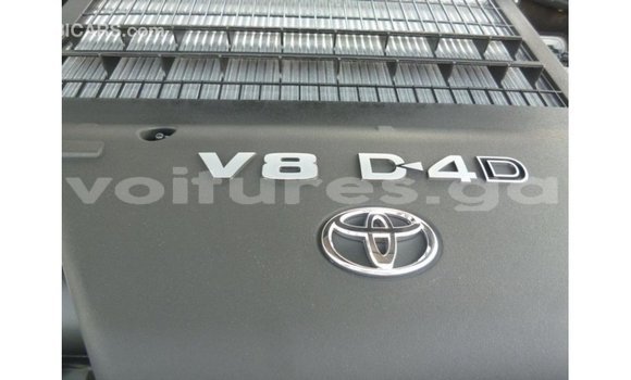 Buy Import Toyota Land Cruiser White Car in Import - Dubai in Estuary Buy Import Toyota Land Cruiser White Car in Import - Dubai in Estuary