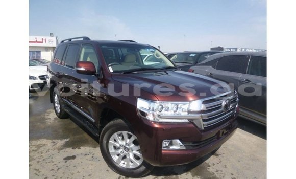 Buy Import Toyota Land Cruiser Brown Car in Import - Dubai in Estuary Buy Import Toyota Land Cruiser Brown Car in Import - Dubai in Estuary