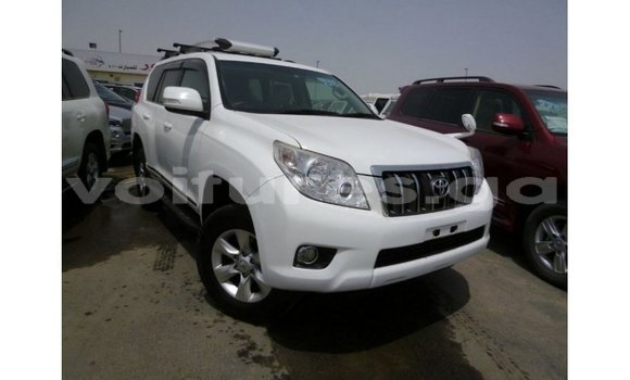 Sayi Imported Toyota Prado White Mota in Import - Dubai a estuary Sayi Imported Toyota Prado White Mota in Import - Dubai a estuary