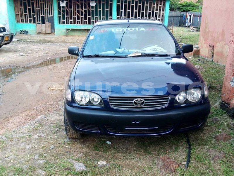 Big with watermark 30629329 194112211393369 244064733525704704 n