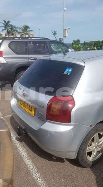 Big with watermark 30629329 194112211393369 244064733525704704 n