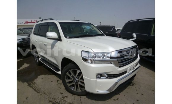 Sayi Imported Toyota Land Cruiser White Mota in Import - Dubai a estuary Sayi Imported Toyota Land Cruiser White Mota in Import - Dubai a estuary