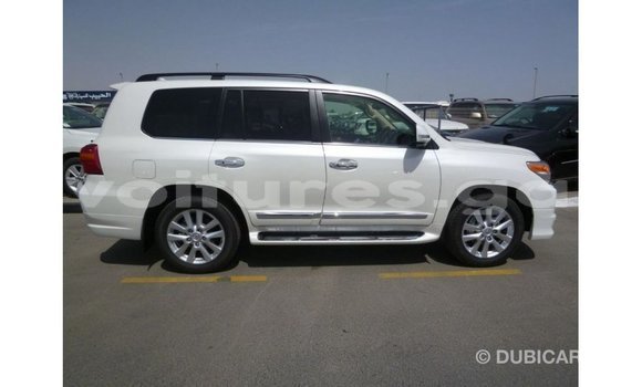 Sayi Imported Toyota Land Cruiser White Mota in Import - Dubai a estuary Sayi Imported Toyota Land Cruiser White Mota in Import - Dubai a estuary
