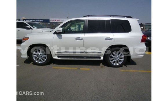 Sayi Imported Toyota Land Cruiser White Mota in Import - Dubai a estuary Sayi Imported Toyota Land Cruiser White Mota in Import - Dubai a estuary