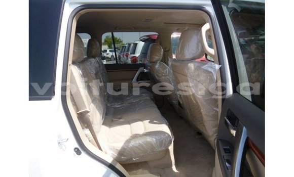 Sayi Imported Toyota Land Cruiser White Mota in Import - Dubai a estuary Sayi Imported Toyota Land Cruiser White Mota in Import - Dubai a estuary