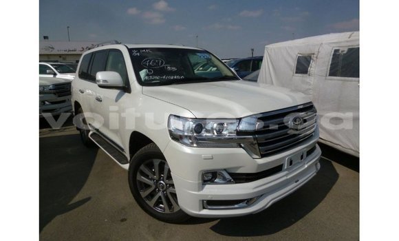 Sayi Imported Toyota Land Cruiser White Mota in Import - Dubai a estuary Sayi Imported Toyota Land Cruiser White Mota in Import - Dubai a estuary