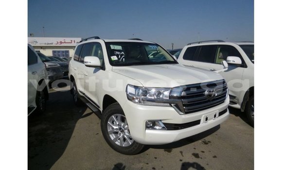Sayi Imported Toyota Land Cruiser White Mota in Import - Dubai a estuary Sayi Imported Toyota Land Cruiser White Mota in Import - Dubai a estuary