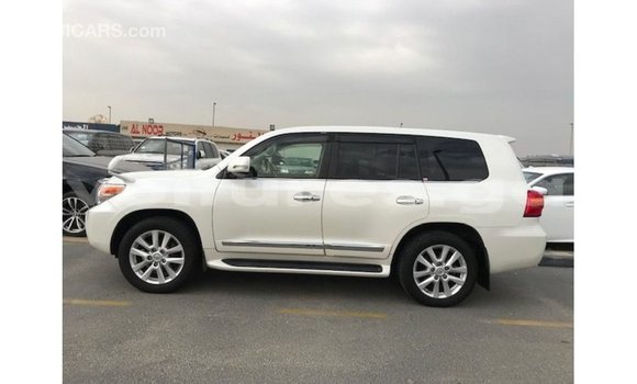 Sayi Imported Toyota Land Cruiser White Mota in Import - Dubai a estuary Sayi Imported Toyota Land Cruiser White Mota in Import - Dubai a estuary