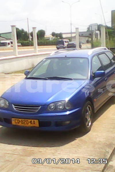 Big with watermark 002