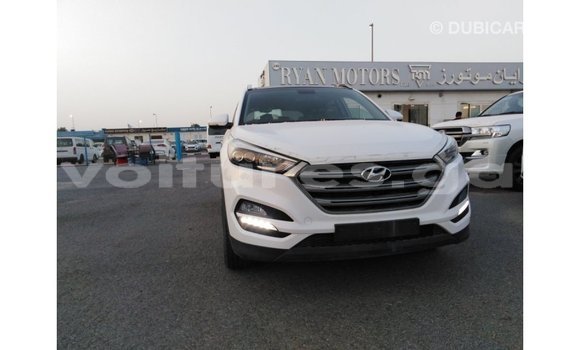 Acheter Import Voiture Hyundai Tucson Blanc à Import - Dubai, Estuaire Acheter Import Voiture Hyundai Tucson Blanc à Import - Dubai, Estuaire
