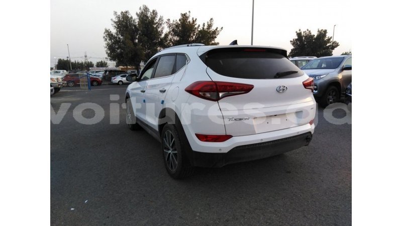 Big with watermark hyundai tucson estuary import dubai 5680