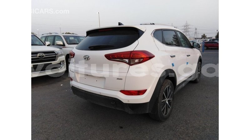 Big with watermark hyundai tucson estuary import dubai 5680