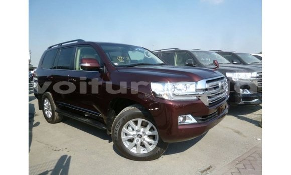 Acheter Import Voiture Toyota Land Cruiser Marron à Import - Dubai, Estuaire Acheter Import Voiture Toyota Land Cruiser Marron à Import - Dubai, Estuaire