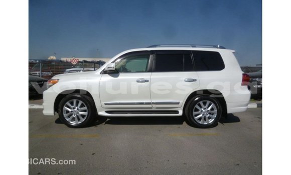 Sayi Imported Toyota Land Cruiser White Mota in Import - Dubai a estuary Sayi Imported Toyota Land Cruiser White Mota in Import - Dubai a estuary