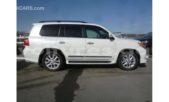 Buy Import Toyota Land Cruiser White Car in Import - Dubai in Estuary Buy Import Toyota Land Cruiser White Car in Import - Dubai in Estuary