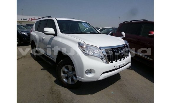 Acheter Import Voiture Toyota Prado Blanc à Import - Dubai, Estuaire Acheter Import Voiture Toyota Prado Blanc à Import - Dubai, Estuaire