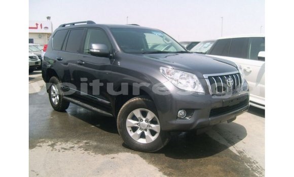 Buy Import Toyota Prado Other Car in Import - Dubai in Estuary Buy Import Toyota Prado Other Car in Import - Dubai in Estuary