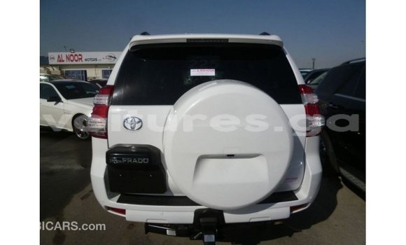 Buy Import Toyota Prado White Car in Import - Dubai in Estuary Buy Import Toyota Prado White Car in Import - Dubai in Estuary