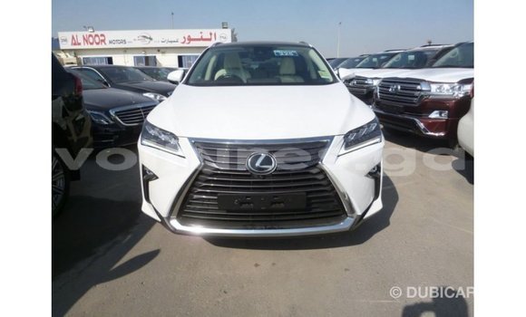 Sayi Imported Lexus RX 350 White Mota in Import - Dubai a estuary Sayi Imported Lexus RX 350 White Mota in Import - Dubai a estuary