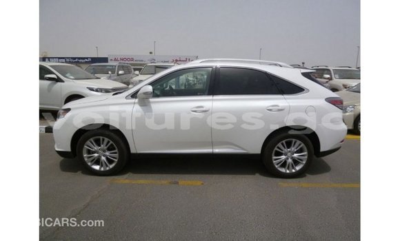 Buy Import Lexus RX 350 White Car in Import - Dubai in Estuary Buy Import Lexus RX 350 White Car in Import - Dubai in Estuary