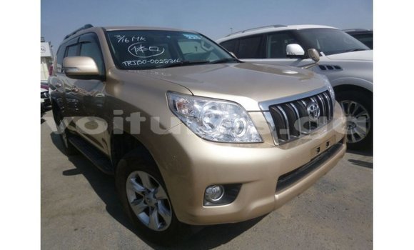 Buy Import Toyota Prado Other Car in Import - Dubai in Estuary Buy Import Toyota Prado Other Car in Import - Dubai in Estuary