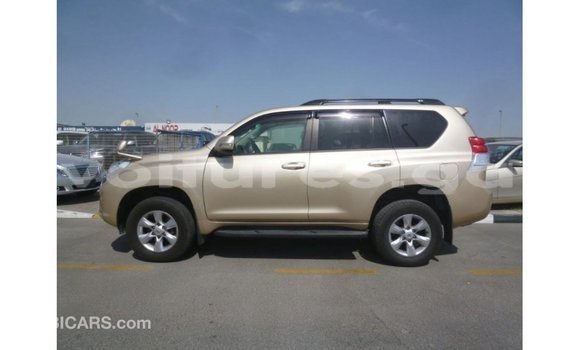 Buy Import Toyota Prado Other Car in Import - Dubai in Estuary Buy Import Toyota Prado Other Car in Import - Dubai in Estuary
