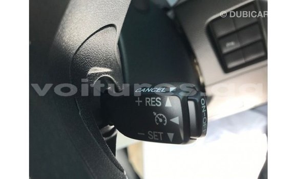 Buy Import Toyota Prado Brown Car in Import - Dubai in Estuary Buy Import Toyota Prado Brown Car in Import - Dubai in Estuary