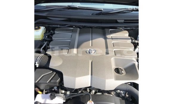 Buy Import Toyota Land Cruiser Black Car in Import - Dubai in Estuary Buy Import Toyota Land Cruiser Black Car in Import - Dubai in Estuary