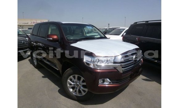 Sayi Imported Toyota Land Cruiser Sauran Mota in Import - Dubai a estuary Sayi Imported Toyota Land Cruiser Sauran Mota in Import - Dubai a estuary