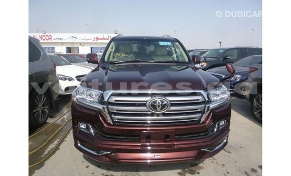 Sayi Imported Toyota Land Cruiser Sauran Mota in Import - Dubai a estuary Sayi Imported Toyota Land Cruiser Sauran Mota in Import - Dubai a estuary