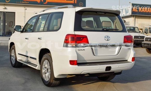 Acheter Import Voiture Toyota Land Cruiser Blanc à Import - Dubai, Estuaire Acheter Import Voiture Toyota Land Cruiser Blanc à Import - Dubai, Estuaire