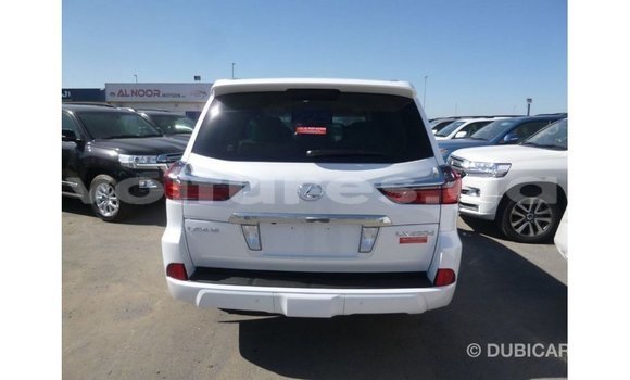Sayi Imported Lexus LX White Mota in Import - Dubai a estuary Sayi Imported Lexus LX White Mota in Import - Dubai a estuary