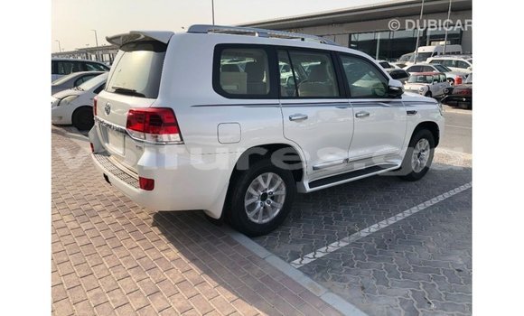 Sayi Imported Toyota Land Cruiser White Mota in Import - Dubai a estuary Sayi Imported Toyota Land Cruiser White Mota in Import - Dubai a estuary
