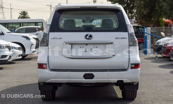 Acheter Import Voiture Lexus GX Blanc à Import - Dubai, Estuaire Acheter Import Voiture Lexus GX Blanc à Import - Dubai, Estuaire