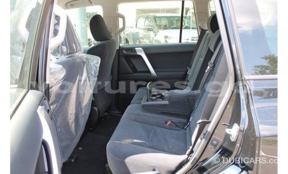 Buy Import Toyota Hilux Black Car in Import - Dubai in Estuary Buy Import Toyota Hilux Black Car in Import - Dubai in Estuary