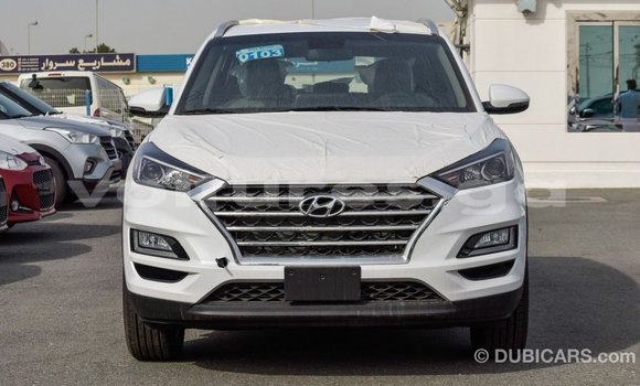 Acheter Import Voiture Hyundai Tucson Blanc à Import - Dubai, Estuaire Acheter Import Voiture Hyundai Tucson Blanc à Import - Dubai, Estuaire