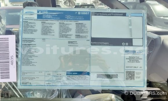 Acheter Import Voiture Ford Club Wagon Rouge à Import - Dubai, Estuaire Acheter Import Voiture Ford Club Wagon Rouge à Import - Dubai, Estuaire