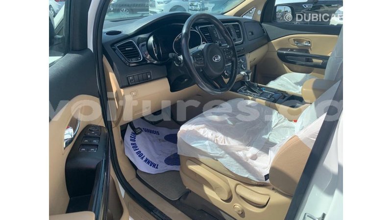 Big with watermark kia carnival estuaire import dubai 6047