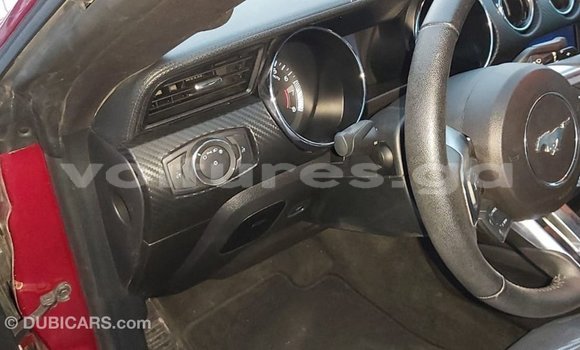 Acheter Import Voiture Ford Mustang Rouge à Import - Dubai, Estuaire Acheter Import Voiture Ford Mustang Rouge à Import - Dubai, Estuaire