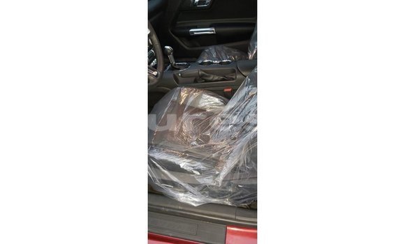 Acheter Import Voiture Ford Mustang Rouge à Import - Dubai, Estuaire Acheter Import Voiture Ford Mustang Rouge à Import - Dubai, Estuaire