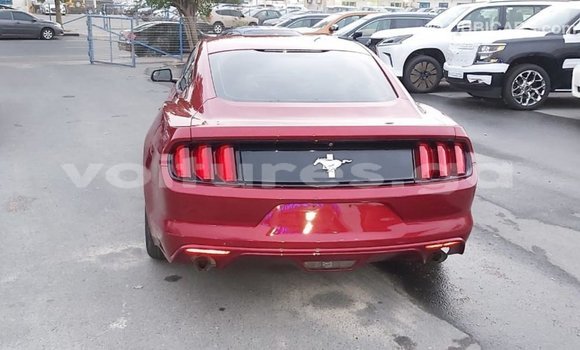Acheter Import Voiture Ford Mustang Rouge à Import - Dubai, Estuaire Acheter Import Voiture Ford Mustang Rouge à Import - Dubai, Estuaire
