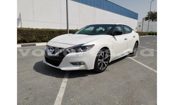 Buy Import Nissan Maxima White Car in Import - Dubai in Estuary Buy Import Nissan Maxima White Car in Import - Dubai in Estuary