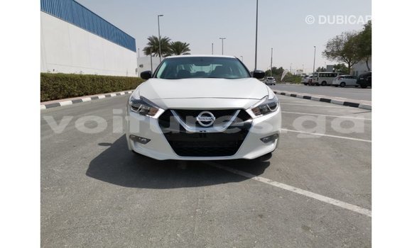 Buy Import Nissan Maxima White Car in Import - Dubai in Estuary Buy Import Nissan Maxima White Car in Import - Dubai in Estuary