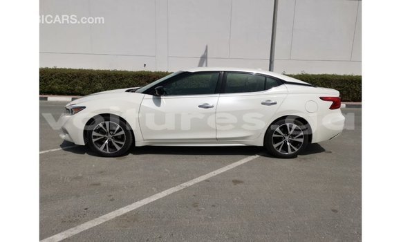 Buy Import Nissan Maxima White Car in Import - Dubai in Estuary Buy Import Nissan Maxima White Car in Import - Dubai in Estuary